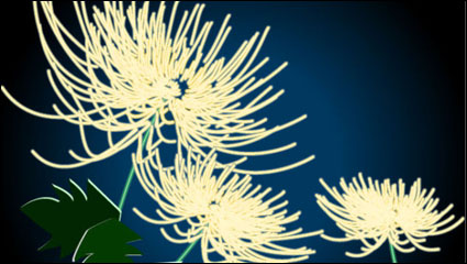 Exquisite Chrysantheme Vektor Material