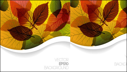 Autumn leaves design Vektor Material -3