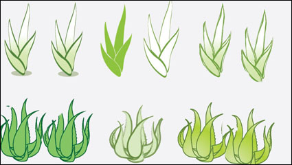 Aloe Vektor Material