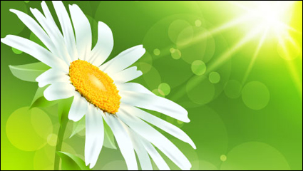 Exquisite Blumen 04 - Vektor Material