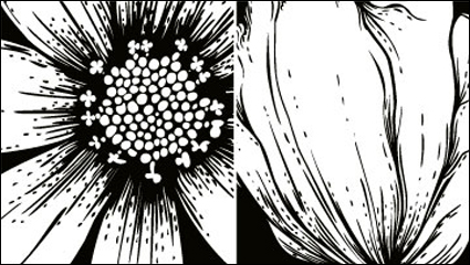 Die Druckgrafik Blumen Vektor Material -1