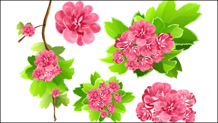 Flowers background 02 - Vektor Material
