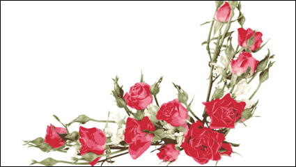 Rose Bouquet 04 - Vektor Material