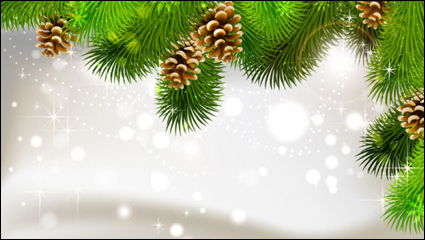 Die exquisite Weihnachtskugel Hintergrund 02 - Vektor Material