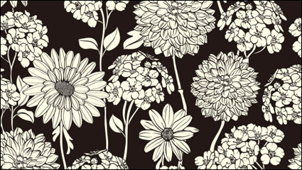 Exquisite schwarz-weiße Linie Kunst Hintergrund 02 - Vektor Material