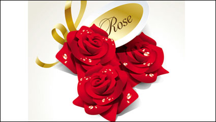 Schöne Rosen 03 - Vektor Material