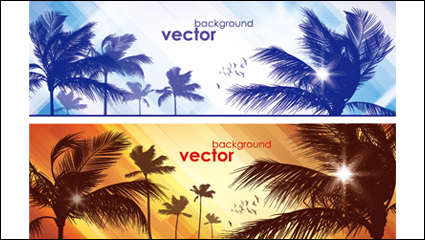 Coco banner 02 - Vektor Material