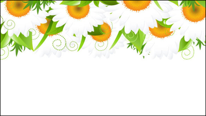 Blumen Bl��tenblätter Spitzen Hintergrund 01 - Vektor Material