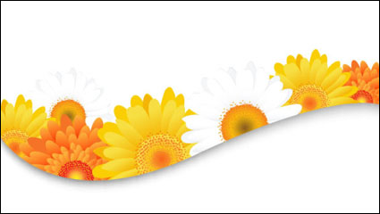Blumen Bltenblätter Spitzen Hintergrund 03 - Vektor Material