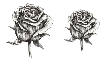 Handbemalte Blumen Material 05 - Vektor Material
