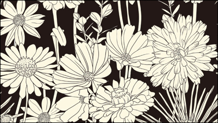 Exquisite schwarze und weiße Linie Kunst Hintergrund 03 - Vektor Material