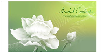 Hintergrund der weißen Rosen Traum Material Vektor