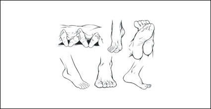 Vector pieds