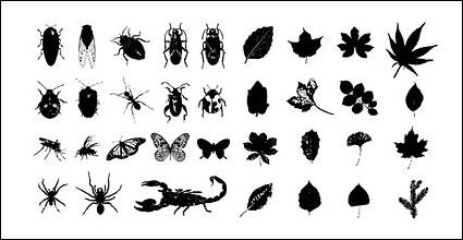 Schwerter, Vögel, Skelette, Insekten, Blätter Vector