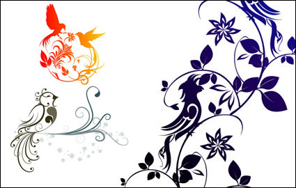Kombination von exquisiten Vogel pattern vector