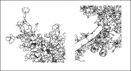 Schmetterling Blume, Mohn, Kornblumen, Birne, Kirsche blht