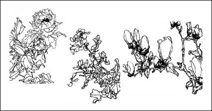 Glyzinien, Pfirsich, Hortensie, Begonia