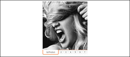 Chart 7 Rund-um-Banding im Mittelpunkt des Titels Image-Anzeige-Code (js + css)