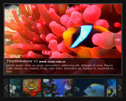 Slide-Web-Album-Code (JS + CSS)