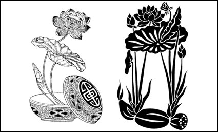 Lotus, Lotuswurzel Vektor