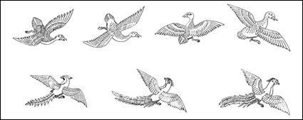 Vogel Phönix Vector