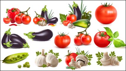 Paprika, Auberginen, Tomaten, Knoblauch, Bohnen, Gurken, Tomaten
