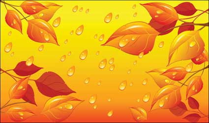 Leaves Wasser