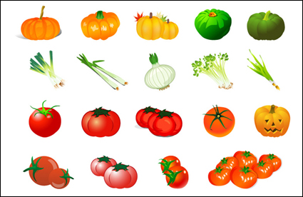 Pflanzliche Vector - Krbis-Tomaten-Zwiebel-Knoblauch