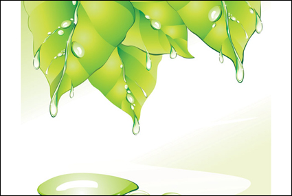 Green Leaf Wasser
